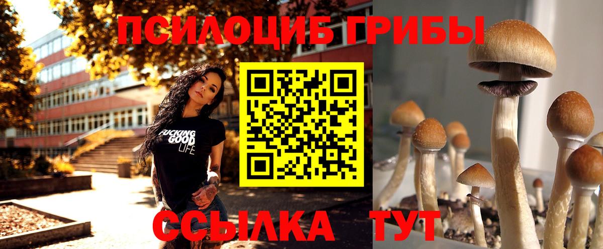 Галлюциногенные грибы прущие грибы  Псилоцибиновые грибы GOLDEN TEACHER  Сызрань  Вход с VPN 